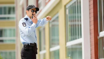 danışma ve yönlendirme hizmetleri